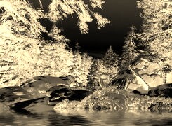 Sepia + Negatyw