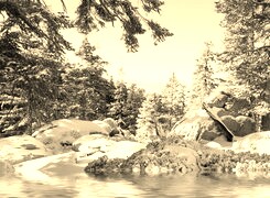 Szary + Sepia