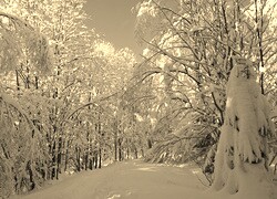 Szary + Sepia