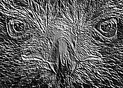 Skamielina