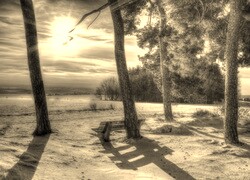 Szary + Sepia