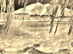 Sepia + Negatyw