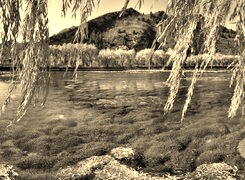 Szary + Sepia