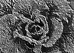Skamielina