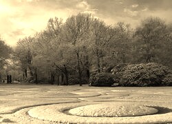 Sepia