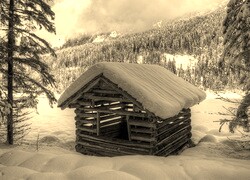 Szary + Sepia
