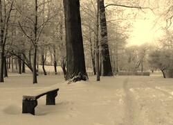 Szary + Sepia