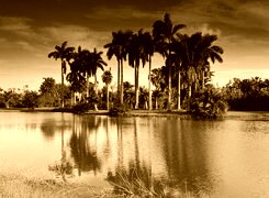 Sepia
