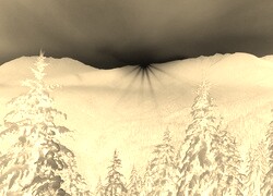 Sepia + Negatyw