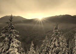 Sepia