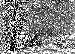 Skamielina