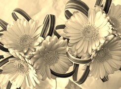 Szary + Sepia