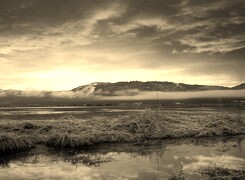 Szary + Sepia