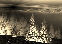 Sepia + Negatyw