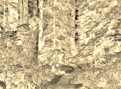 Sepia + Negatyw