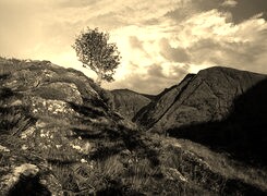 Sepia