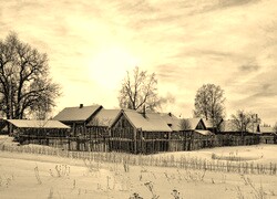 Szary + Sepia