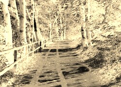 Sepia + Negatyw