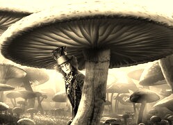 Szary + Sepia