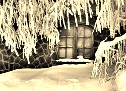 Szary + Sepia