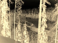 Sepia + Negatyw