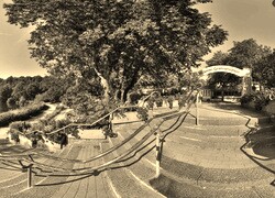 Sepia