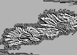 Skamielina