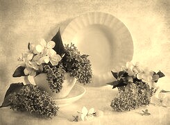 Szary + Sepia
