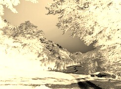 Sepia + Negatyw