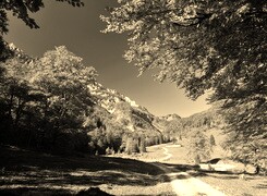Sepia