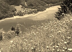 Szary + Sepia