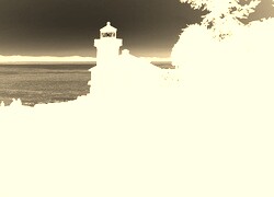 Sepia + Negatyw
