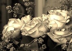 Szary + Sepia