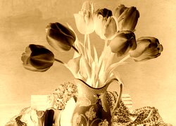 Sepia + Negatyw
