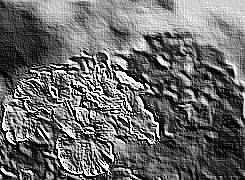 Skamielina