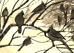 Szary + Sepia