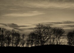 Szary + Sepia