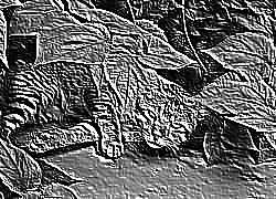 Skamielina