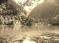 Szary + Sepia