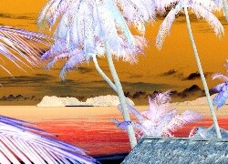 Negatyw