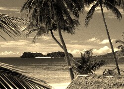 Szary + Sepia