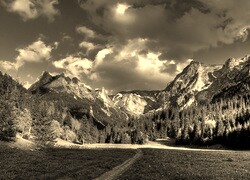 Sepia