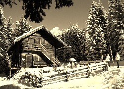 Szary + Sepia