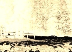 Sepia + Negatyw
