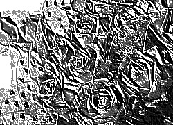 Skamielina