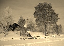 Sepia