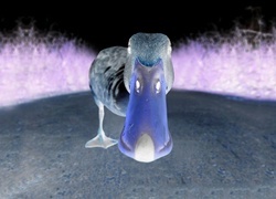 Negatyw