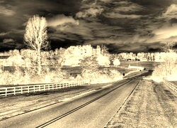 Sepia + Negatyw