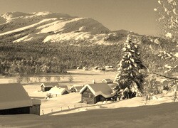 Szary + Sepia