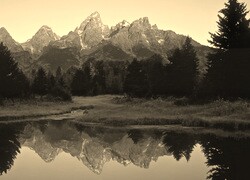 Szary + Sepia